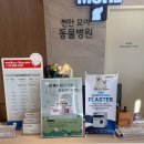 천안모아동물병원 | 저온플라즈마멸균기 병원소독기 동물병원멸균기_천안 모아동물병원
