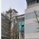 상일동주민센터 이미지