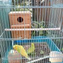 삼평어린이집 이미지