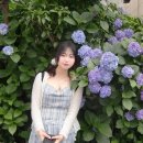 아아,역시여행이최고야