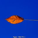 하이투어 - 강동구 천중로 213 | 하이투어