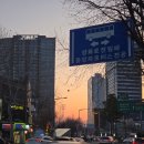 미도사 이미지