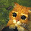 장화신은고양이 이미지