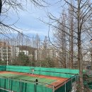 우장산공원 | 강서구 테니스코트 추천 │ 우장산 테니스코트 예약 방법과 이용 후기 (인조잔디 코트)