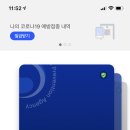 안시은