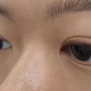 봉띠끄