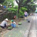 성읍민속로 이미지