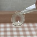 테이스티렌즈