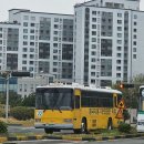 부산 1종대형면허 2주만에 초단기 취득후기 흥국 자동차운전전문학원 새벽반후기