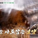 주목숯불구이 이미지