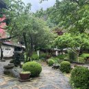 민속촌가든 이미지