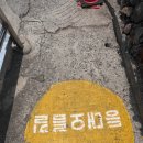 묵호등대 | 동해 논골담길 도째비골스카이밸리 묵호등대 까지 다보고 왔어요~