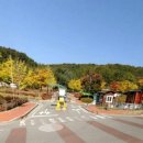 분당-236 이미지