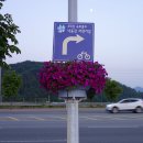 산호대교~옥계동 이미지