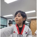 태무 석남 태권도장 이미지