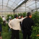 김재관 농장 이미지