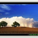 행복을나누는집 이미지