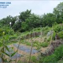 고금면-2 이미지