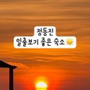 정동진놀자 이미지