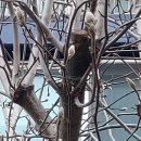 구리전통시장 이미지