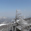 구름다리 | 대둔산 수락계곡 구름다리 등산 후기: 아찔한 풍경에 반하다!