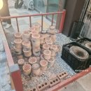 석탄이네해산물포차2 네이버블로그