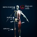 정코치Gym 이미지