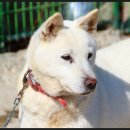 이광호농장 이미지