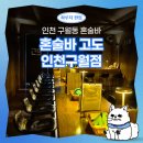 인천채씨 효부각 | 인천 구월동 혼술바 고도 | 분위기 좋은 칵테일바 솔직후기