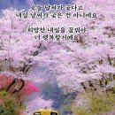 샘물식육점 - 경산시 | 샘물식육점