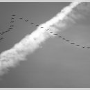 불국사관광안내소 이미지