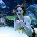 인어공주 이미지