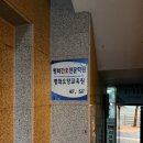 [일기/25.04] 이번엔 벚꽃 한번을 못봤네🌸😢