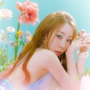카리스엔터테인먼트 이미지