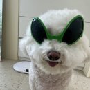 이디야대평동점