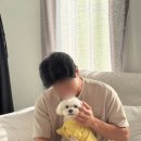 하점면-5 | 강화도 애견동반 펜션 윤정이네 후기 독채 개별 바베큐