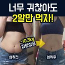 뉴바디 이미지