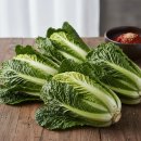 진도 무릉도원 이미지