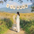 더멍멍 충주점 | [충주 애견동반여행] 억새 숲에서 영화 속 주인공처럼 인생샷 남기는 법!