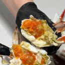 솔하루 | [신선만] 알이 덜렁! 알배기 암꽃게 후기 | 진도 산지직송 꽃게찜 레시피 | 업체제공