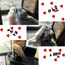 본리종합동물병원 이미지