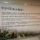 웰빙막국수 이미지