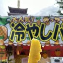 양산신-8004 | 해외여행ㅣ일본ㅣ도쿄 여행 2일차