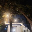 어부펜션 이미지