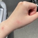 부산 괴정 영이네고향양꼬치 방문 후기라고하기엔 좀 그런 일상이야기