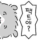 파마38