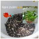 해돋이유치원 | 해돋이유치원가족과 함께하는 해돋이의 교육과정