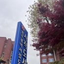 광주광역시립사직도서관 | 광주광역시립사직도서관 [한강 특별전#1]