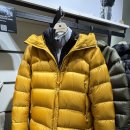 영하개 | 코오롱스포츠 BPL 헤비 다운 솔직 리뷰: 영하 20도 거뜬한 극한 보온력, 사이즈 팁 대방출!