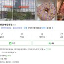 던킨도너츠 던카치노 오리지널 + 하와이안코나...버터구움도넛 내돈내산 후기😋 (+ 광안리민락수변공원점)